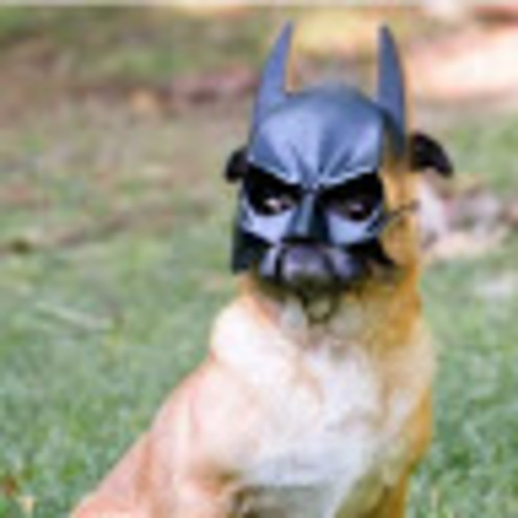 Meet your Posher, C - Picture 1 of 1